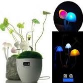 Abajur em forma de cogumelo 0.2W RGB lâmpada LED